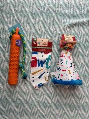 Lot of 3: Woof & Whiskers Dog Birthday Party Accessory Set (Bandana and Party Ha